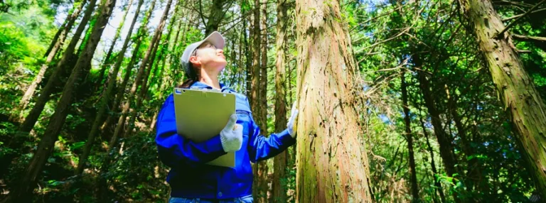 Travail en extérieur et maladie de Lyme : comment se protéger ?