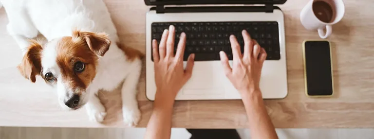 Et si vous pouviez amener votre chien ou votre chat au bureau ?